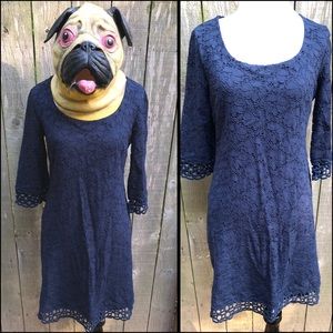 Gorgeous, ALFANI, lace dress!!